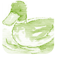 Serie Kemon Ch'abäl Primer Grado p(47.6).png