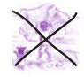 Serie Kemon Ch'abäl Primer Grado p(105.10).png