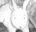 Serie Kemon Ch'abäl Primer Grado p(98.11).png