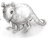Serie Kemon Ch'abäl Primer Grado p(183.2).png