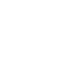 Perito en Desarrollo Comunitario 250 blanco.png