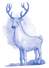 Serie Kemon Ch'abäl Primer Grado p(194.2).png