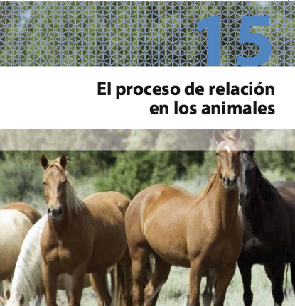 El proceso de relación en los animales - carátula.png