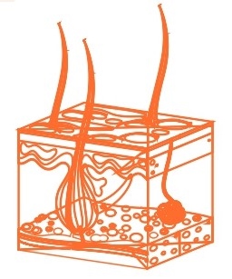 Aprendo y Enseño Ciencias Naturales 3 pag(31.1).jpg