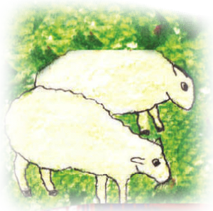 Keb’ ajyuq’ab’-pequeña.png