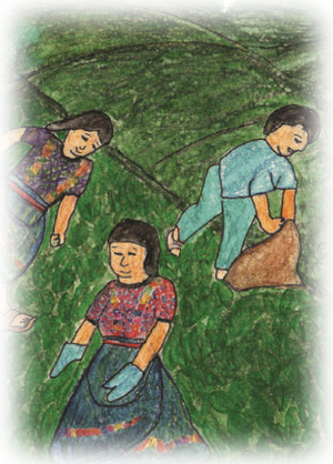 Ri tiko'n ichaj-pequeña.png