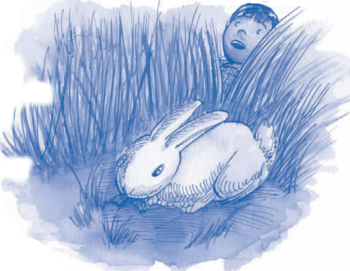 Serie Kemon Ch'abäl Segundo Grado p(223.2).png