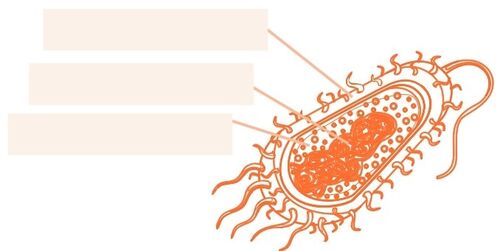 Aprendo y Enseño Ciencias Naturales 3 pag(14.1).jpg
