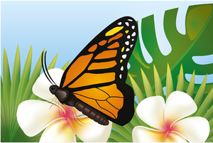 Lección 5 La vida de las mariposas 3.png