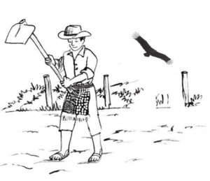 Nuestro idioma en la escuela - Kaqchikel p(114).png