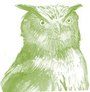 Serie Kemon Ch'abäl Tercer Grado p(218.3).png