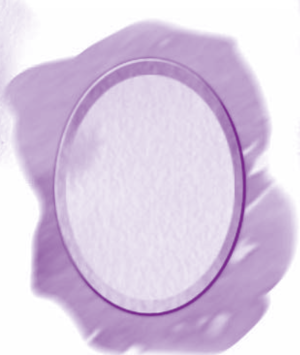 Serie Kemon Ch'abäl Tercer Grado p(230.2).png
