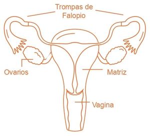 Aprendo y Enseño Ciencias Naturales 4 pag(21.1).jpg