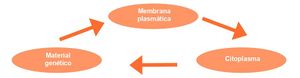 Aprendo y Enseño Ciencias Naturales 3 pag(9.7).jpg