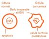Aprendo y Enseño Ciencias Naturales 3 pag(24.2).jpg