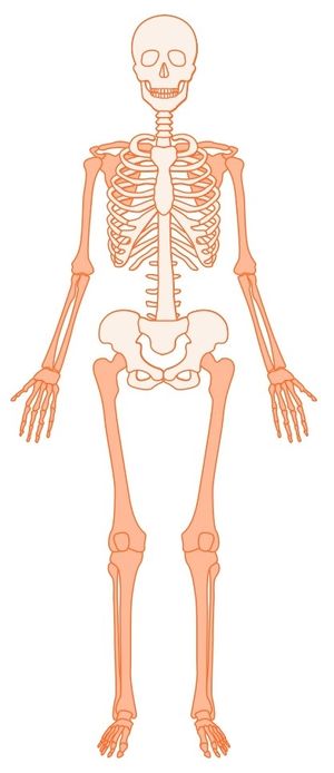 Aprendo y Enseño Ciencias Naturales 4 pag(5.1).jpg