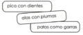 Características de las aves.png