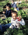 CNB Preprimaria 2023 - 00039.png