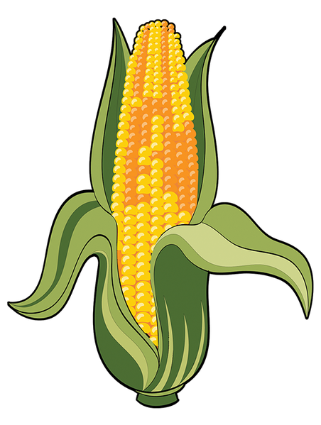 Archivo:Elote.png