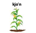 Mi diccionario personal - kjo'n.jpg