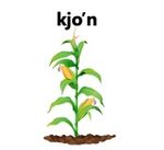 Mi diccionario personal - kjo'n