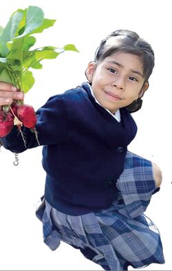 Niña sostiene ramo de rábanos
