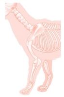 Aprendo y Enseño Ciencias Naturales 5 pag(4.6).jpg
