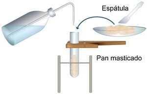 Detección de glucosa-C.jpg