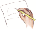 Aprender a comunicarme - p57.png
