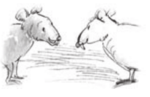 Serie Kemon Ch'abäl Primer Grado p(182.1).png
