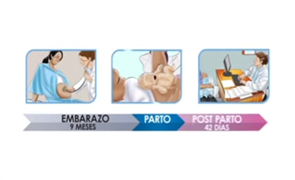 Maternidad saludable - carátula.png