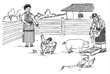 Nuestro idioma en la escuela - Kaqchikel p(47).png