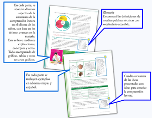 Enseñanza de la comprensión lectora (pag.6.4).png