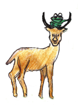 El sapo y el venado-pequeña.png