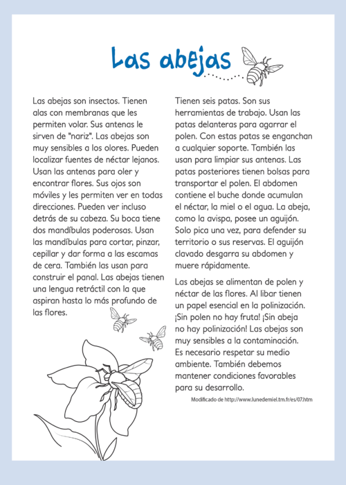 Láminas el tesoro5.png