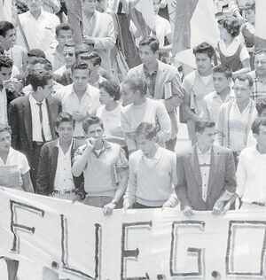 Estudianes manifestando.jpg