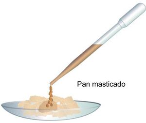 Detección de almidón-B.jpg