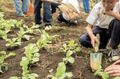 Miniatura de la versión del 22:30 4 feb 2023