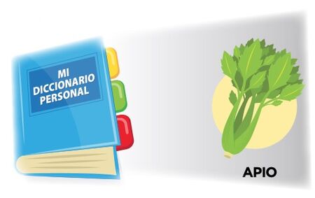 Mi diccionario personal - español