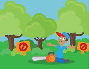 Ilustración Los animales y la selva 12-13.jpg