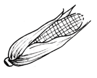 Nuestro idioma en la escuela - Kaqchikel p(159).png