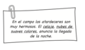 Clip en el campo 2.png
