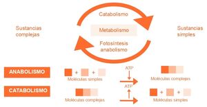 Aprendo y Enseño Ciencias Naturales 3 pag(16.2).jpg