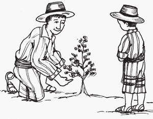 Nuestro idioma en la escuela - Tz’utujiil p(56).png