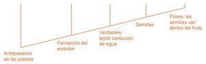 Aprendo y Enseño Ciencias Naturales 5 pag(20.5) - copia.jpg