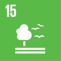 ODS 15. Vida en la tierra