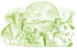 Serie Kemon Ch'abäl Primer Grado p(43).png