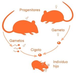 Aprendo y Enseño Ciencias Naturales 3 pag(5.3).jpg
