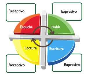 Tipos de vocabulario.png