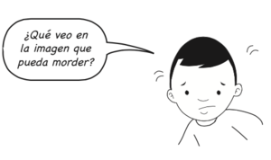 Qué veo en la imagen.png
